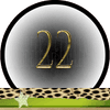 Nummer 22 Master Getallen, Dubbele-Getallen