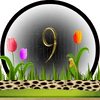 dieren numerologie, nummer 9