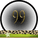 Nummer 99 Dubbele-getallen