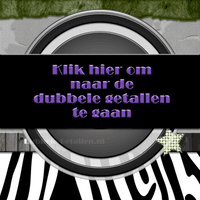 Ga naar de dubbele getallen pagina