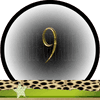 Getal 9 Master Getallen, Dubbele-Getallen