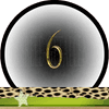 Getal 6 Master Getallen, Dubbele-Getallen