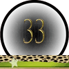 Nummer 33 Master Getallen, Dubbele-Getallen