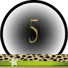 Getal 5 Master Getallen, Dubbele-Getallen