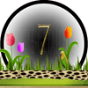 dieren numerologie, nummer 7
