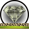 Diamant, Dubbele-Getallen