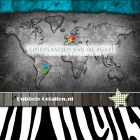 Wereldkaart Dubbele-Getallen.nl