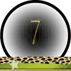Getal 7 Master Getallen, Dubbele-Getallen
