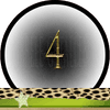 Getal 4 Master Getallen, Dubbele-Getallen