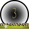 Getal 3 Master Getallen, Dubbele-Getallen