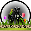 dieren numerologie, hond, kat, huisdieren, Dubbele-Getallen