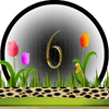 dieren numerologie, nummer 6